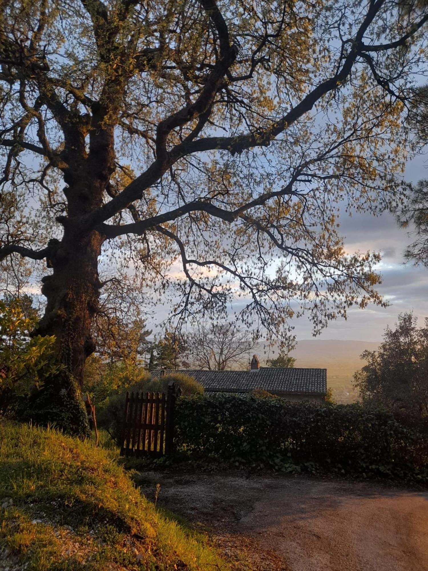 B&B Il Sentiero Di Assisi Exteriör bild