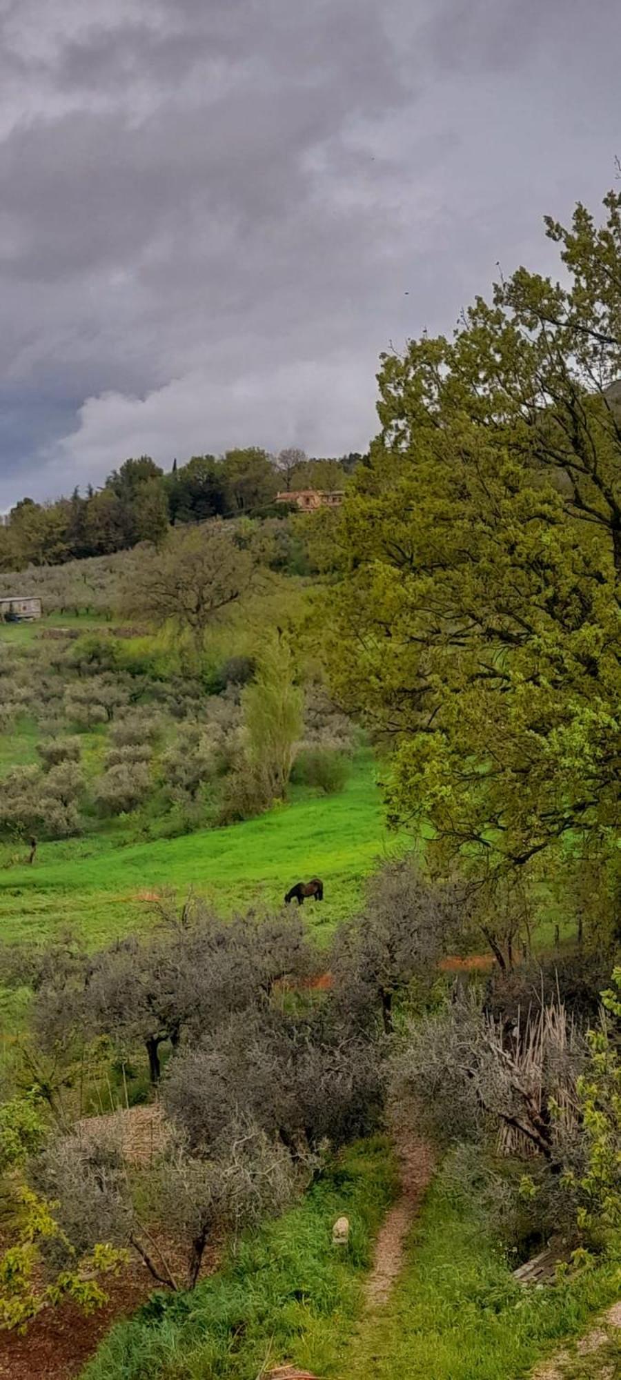 B&B Il Sentiero Di Assisi Exteriör bild