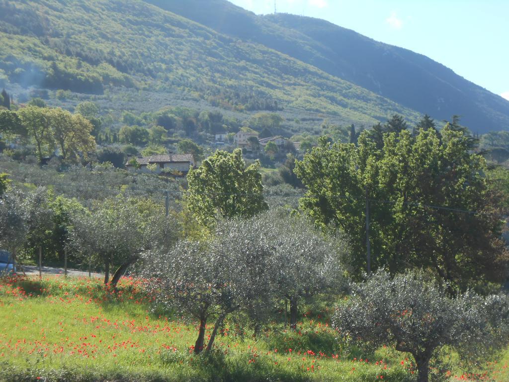B&B Il Sentiero Di Assisi Exteriör bild