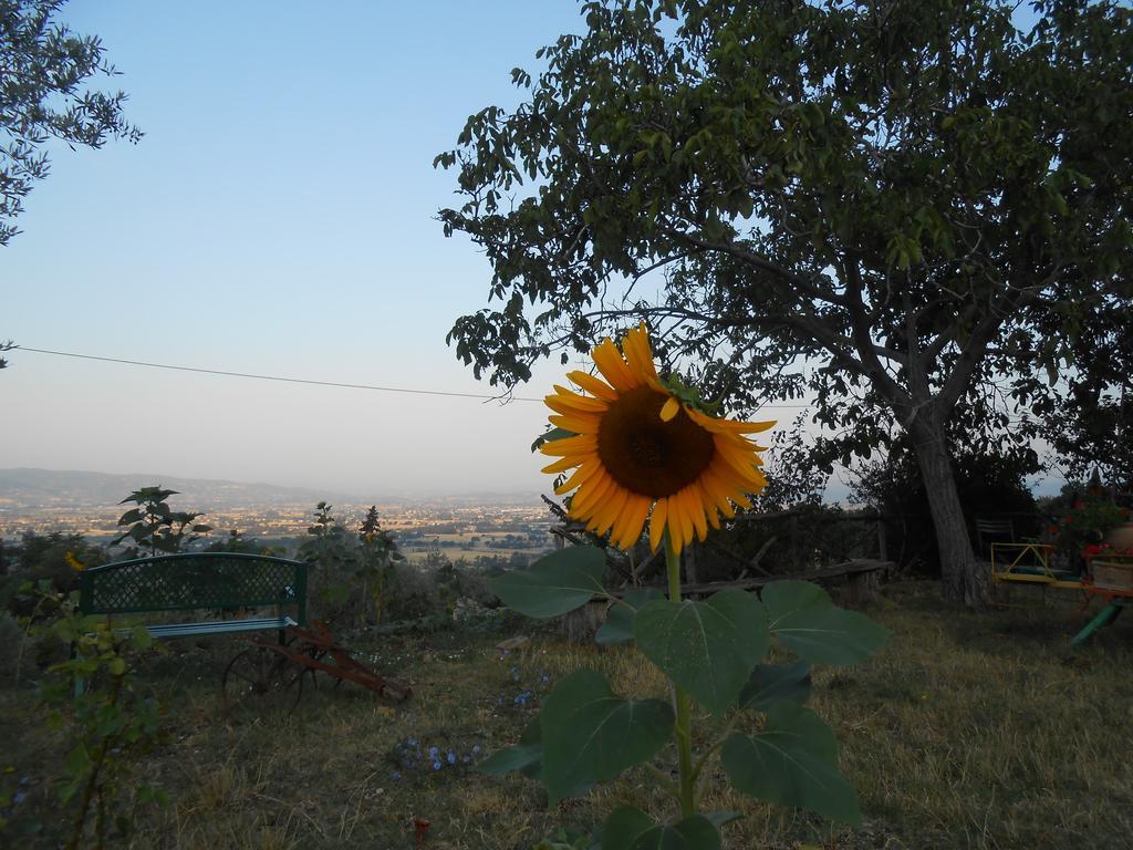 B&B Il Sentiero Di Assisi Exteriör bild