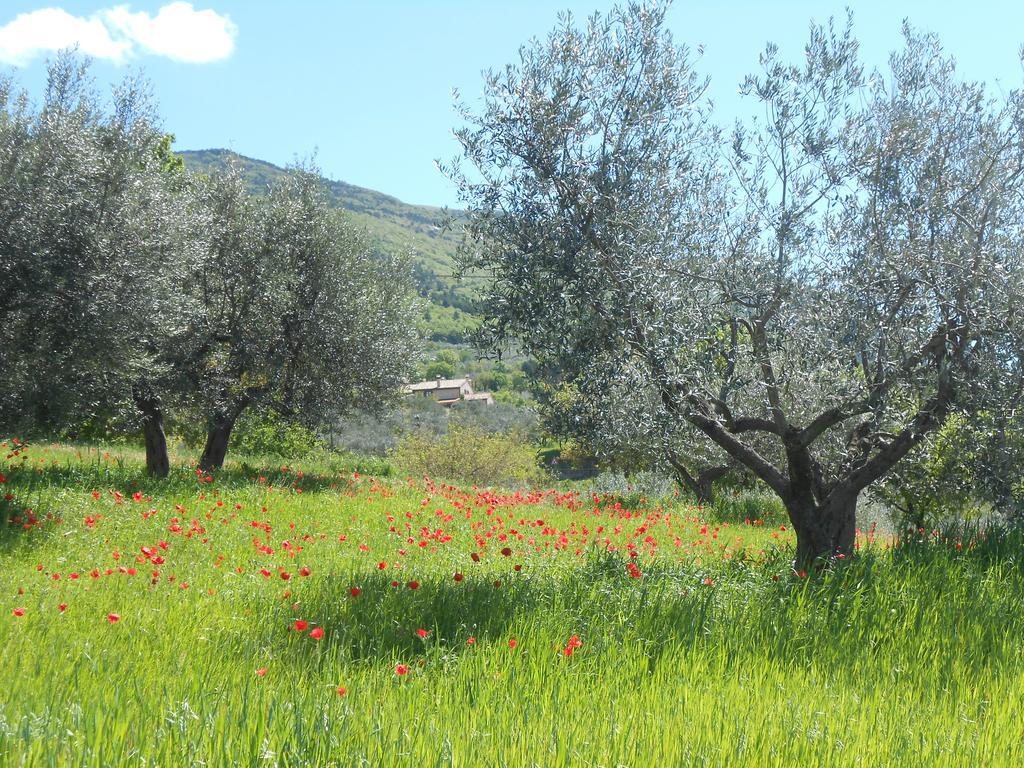 B&B Il Sentiero Di Assisi Exteriör bild