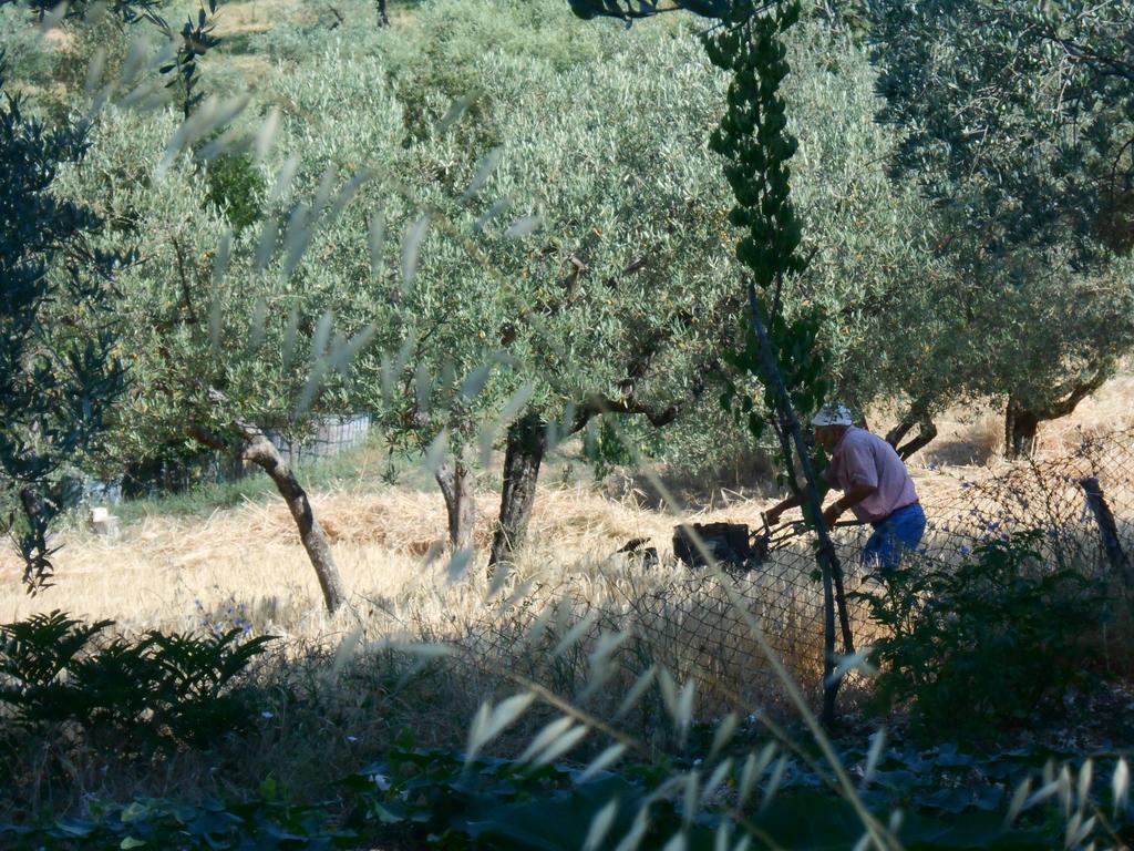 B&B Il Sentiero Di Assisi Exteriör bild