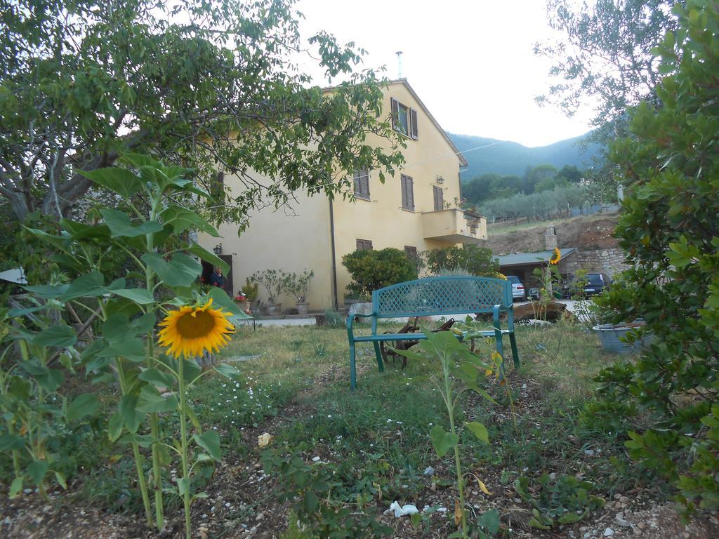 B&B Il Sentiero Di Assisi Exteriör bild